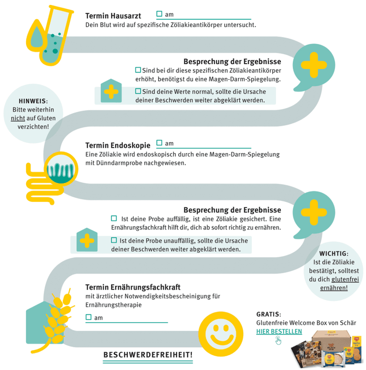 Celiac disease diagnostic pathway illustrated in German.